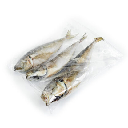 Chinchard entier