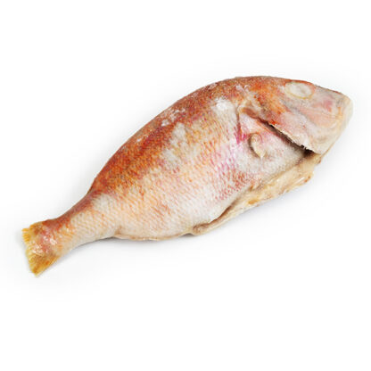 Dorade rose 10kg (Pagrus)