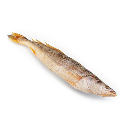 Ombrine entier KANDRATIKI 10kg (micropogonias)